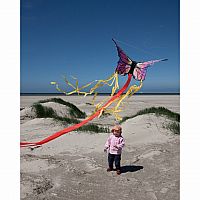 Butterfly Kite Small Assortment