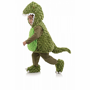 Toddler's Dinosaur Coustume 