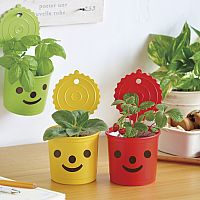 Smile and Smile Assorted