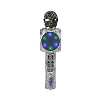 BLING SING ALONG KARAOKE MIC SILVER
