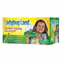Ladybug Land